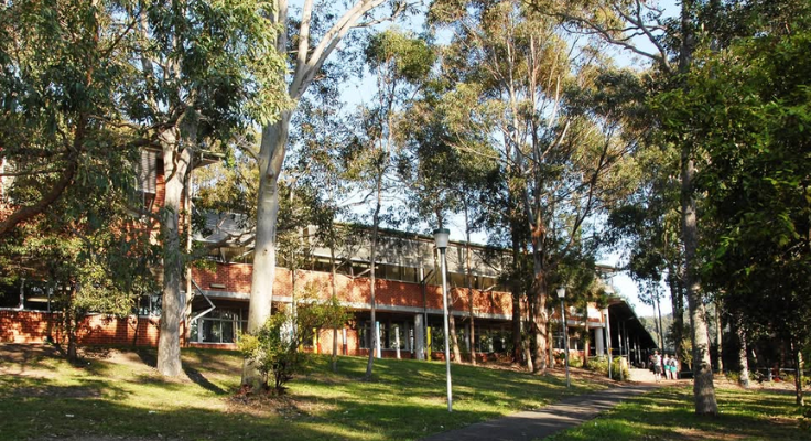 Tumbi Umbi Campus entry with trees and buildings